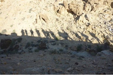 צימר זמן מדבר - סיורי מדבר