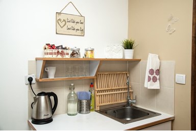 נועם בערבה - דקל