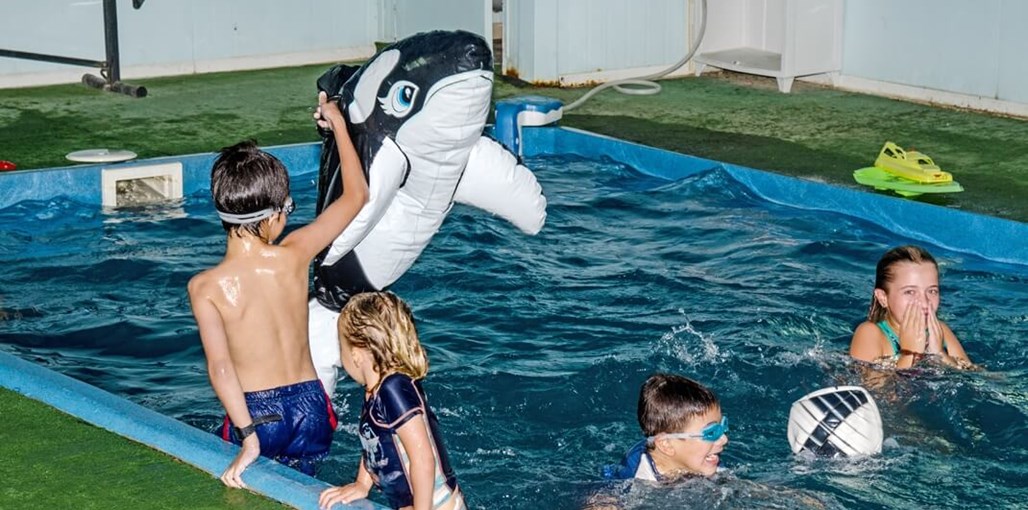 נועם בערבה BAL_5132 aint.jpg