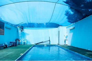 נועם בערבה - דקל