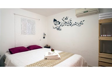 נועם בערבה - אלה