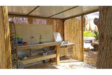 נועם בערבה - דקל