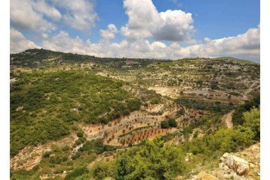 צימר נגיעות בטבע - משפחת מנדו - המועדון והחצר