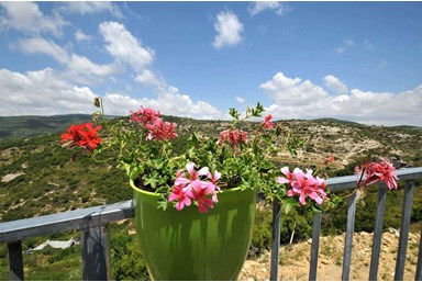 צימר נגיעות בטבע - משפחת מנדו