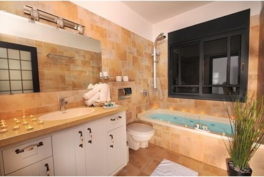 אחוזת דיימונדס - לואי ה-17