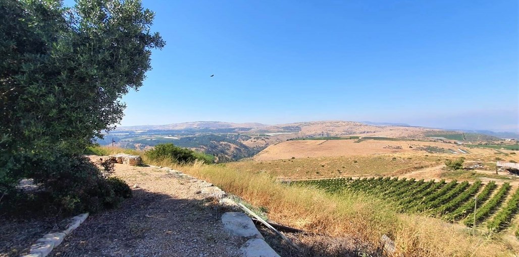 שלווה בכרם שלווה בכרם - החצר והבריכה (5).jpeg