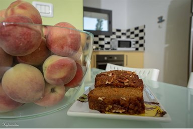 אביב בגליל - היחידה המשפחתית