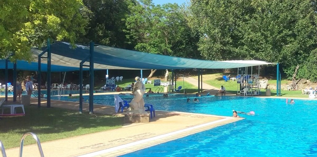 אביב בגליל חצר וסביבה (10).jpg