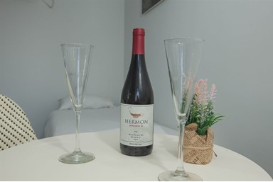 סאות' ביץ' כנרת