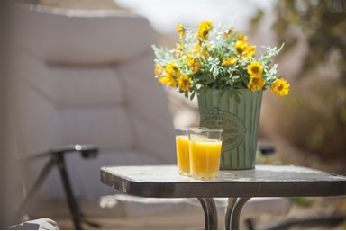 נוף מדבר - החצר והסביבה