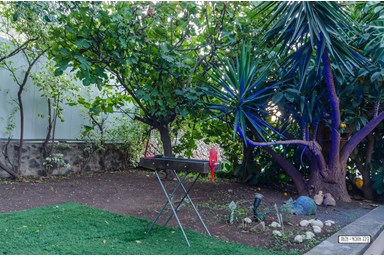 הבית הכפרי של דרורי - החצר הנוף והג'קוזי ספא