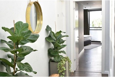 מלון בוטיק אדווה - סוויטת גן עם בריכה