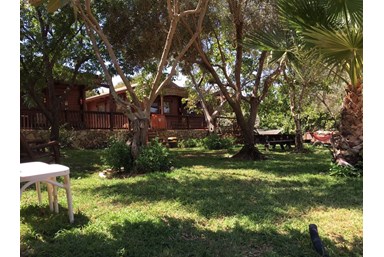 עינבלים ברכס רמים - החצר ובית הקפה