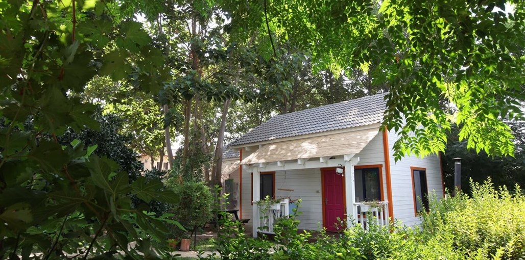 בקתות תמוז חצר וסביבה (14).jpg