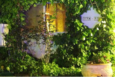 בית ארז - החצר והסביבה