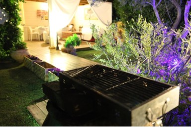 בית ארז - החצר והסביבה