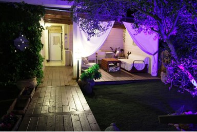 בית ארז - החצר והסביבה