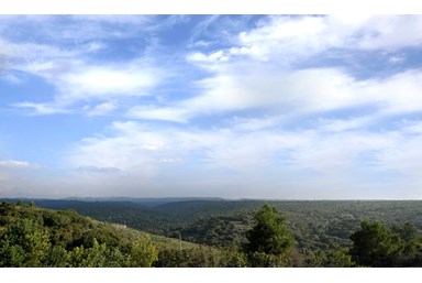 סוויטות ניגונים - החצר והבריכה