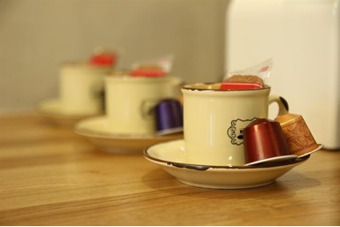 צימר גן עדן בגלבוע - הסוויטה