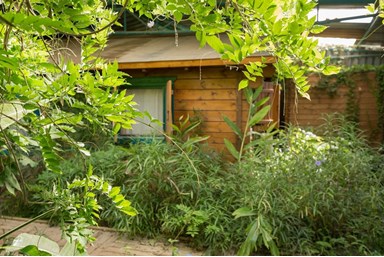 לבנדרין - החצר והסביבה 