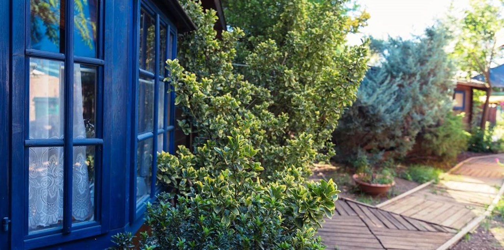 לבנדרין חצר (32).jpg