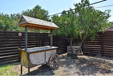 לה פינקה - בסביבה 