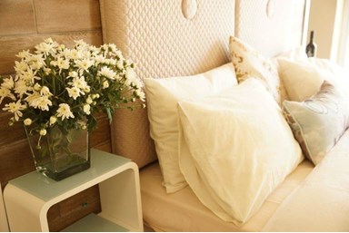 ארץ צאלים - שמיים בוטיק