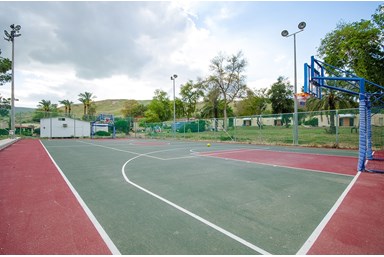 חדרי אירוח קיבוץ גשר - החצר והסביבה 