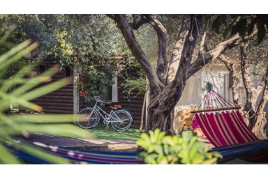 בקתות לבנדר בהרים