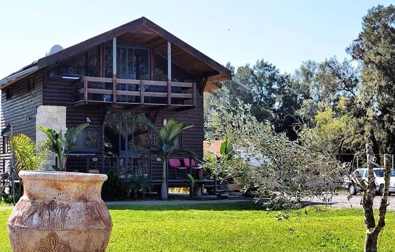 בוסתן הזית 8.JPG