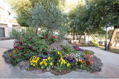 אודם הגולן - סוויטות 1+2