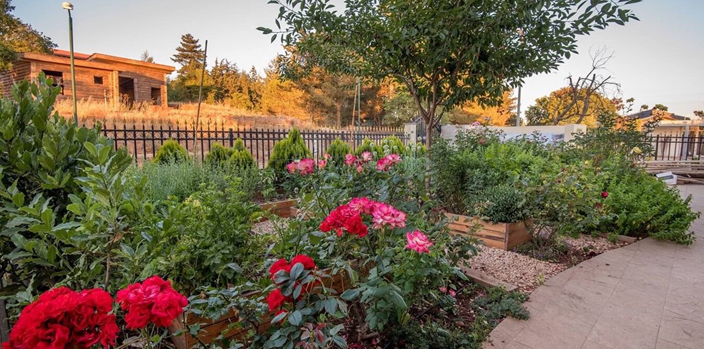 אודם הגולן אודם הגולן - החצר והגן (22).jpg