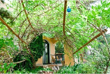 בית בטבע - בית האורן