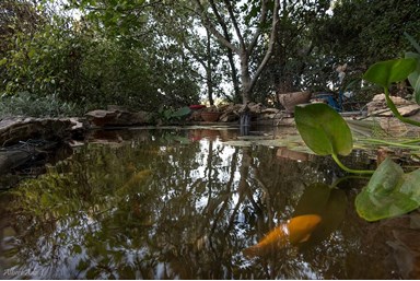 קפלנד - הבית במתת