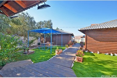 אביבים לאוהבים - החצר והבריכה