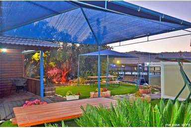 אביבים לאוהבים