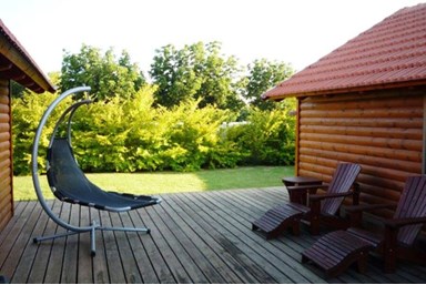 שדרת האקליפטוס - החצר והסביבה