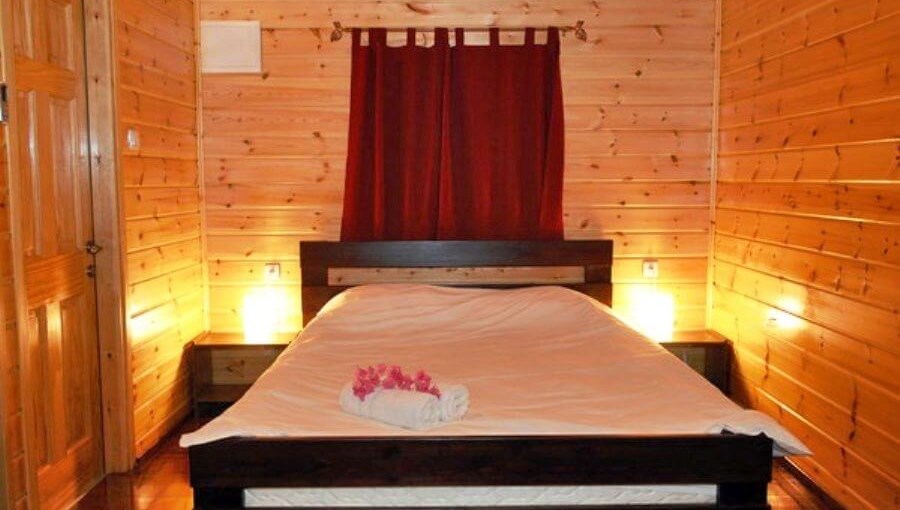 שדרת האקליפטוס הצימרים (11).jpg