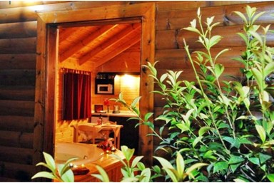 שדרת האקליפטוס - החצר והסביבה