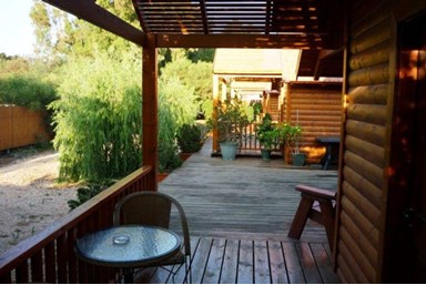 שדרת האקליפטוס - החצר והסביבה