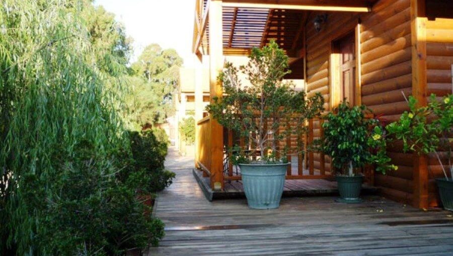 שדרת האקליפטוס החצר (6).jpg