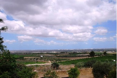 רומנטיכאן מול הכרם - החצר והנוף