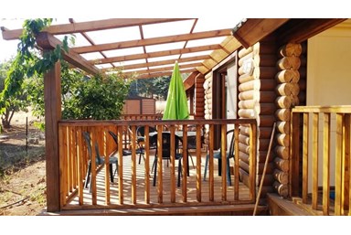 דליה ברמה - החצר והסביבה