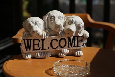 דליה ברמה - הבקתה