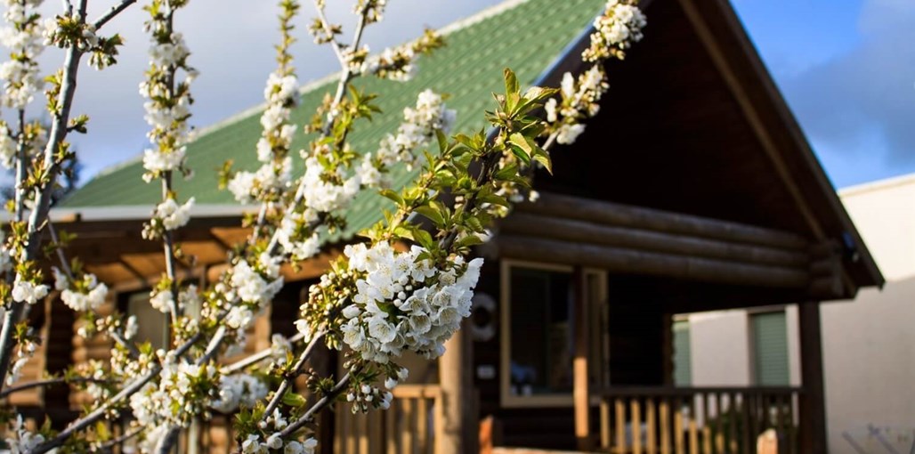 דליה ברמה חוץ ואווירה 7120 (9).jpg