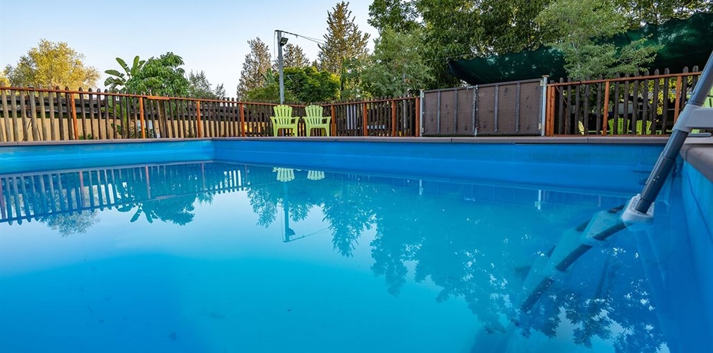 חלום בטבע חוץ - חדשות 05.09.22 (18).jpg