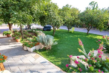 חלום בטבע - החצר והבריכה