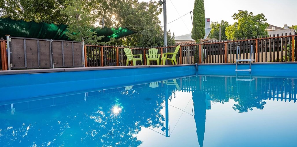 חלום בטבע חוץ - חדשות 05.09.22 (16).jpg