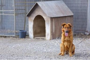 נווה בר - הבקתות