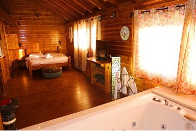 יחידות סגולה